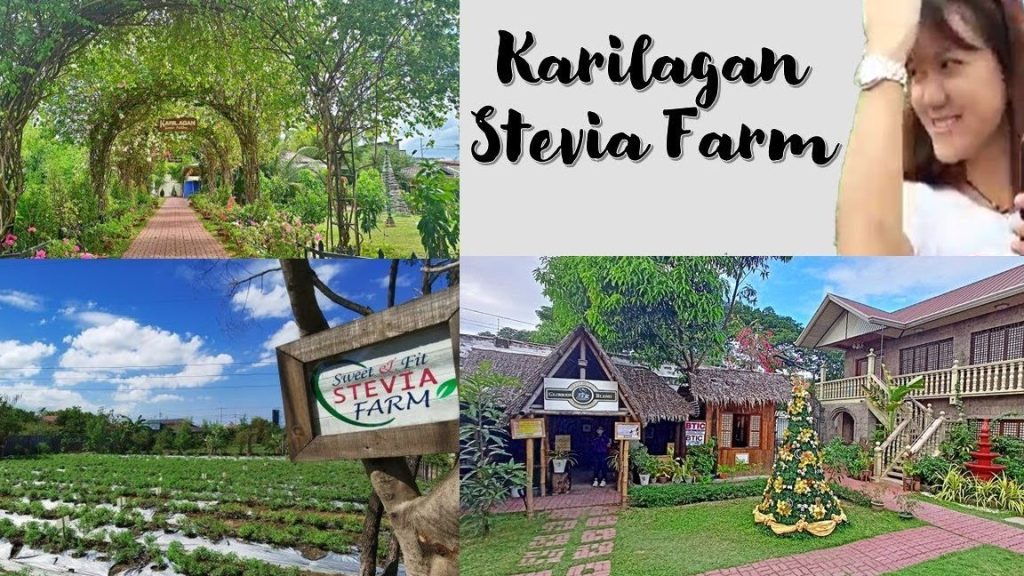 karilagan stevia farm pavilion
